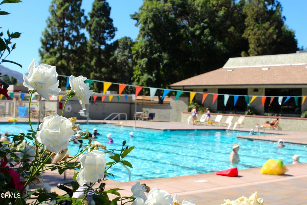 33229 Village 33 Property Photo 34