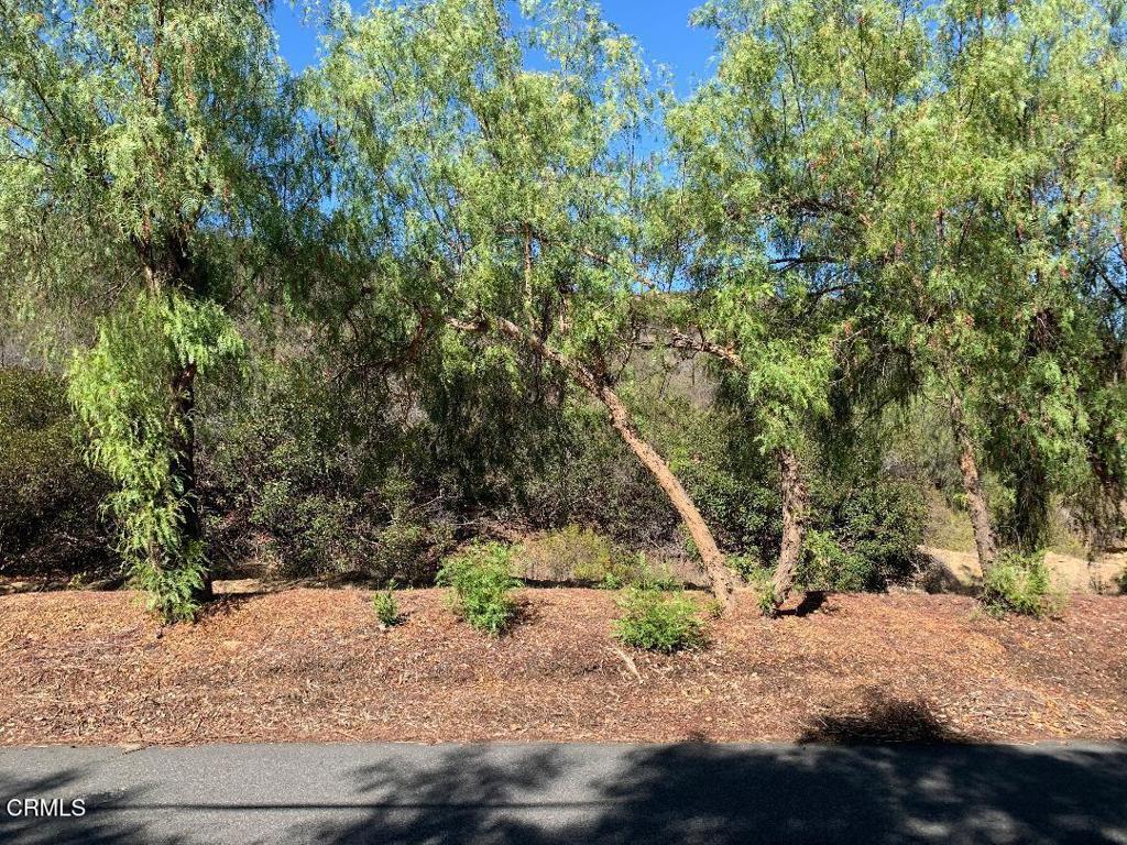0 S Skyline Drive Property Photo 1
