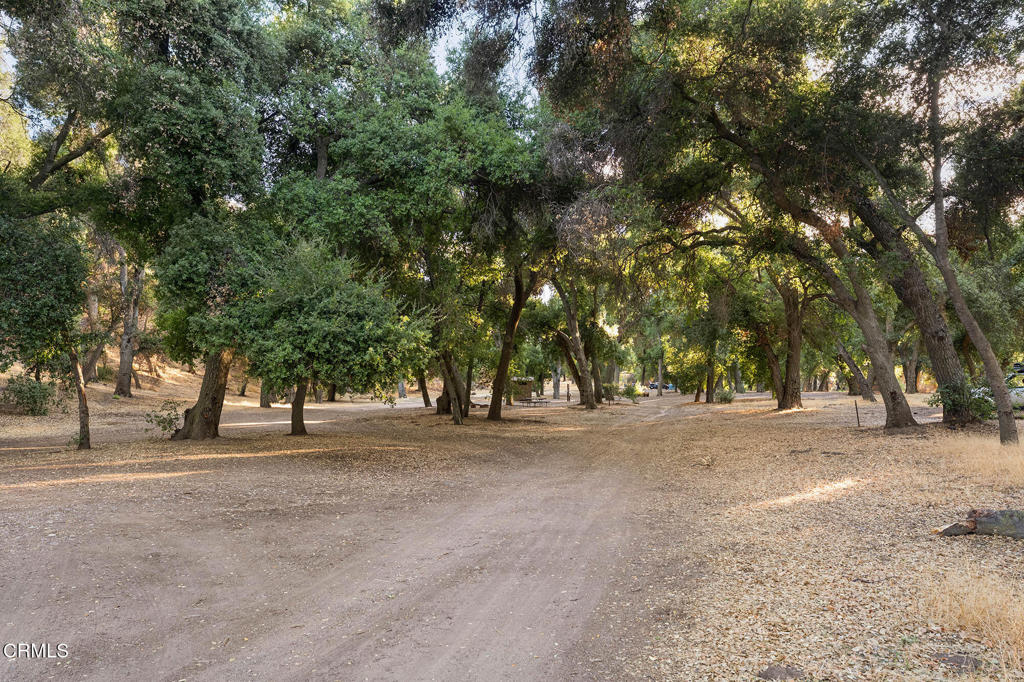 2170 Aliso Park Road Property Photo 71