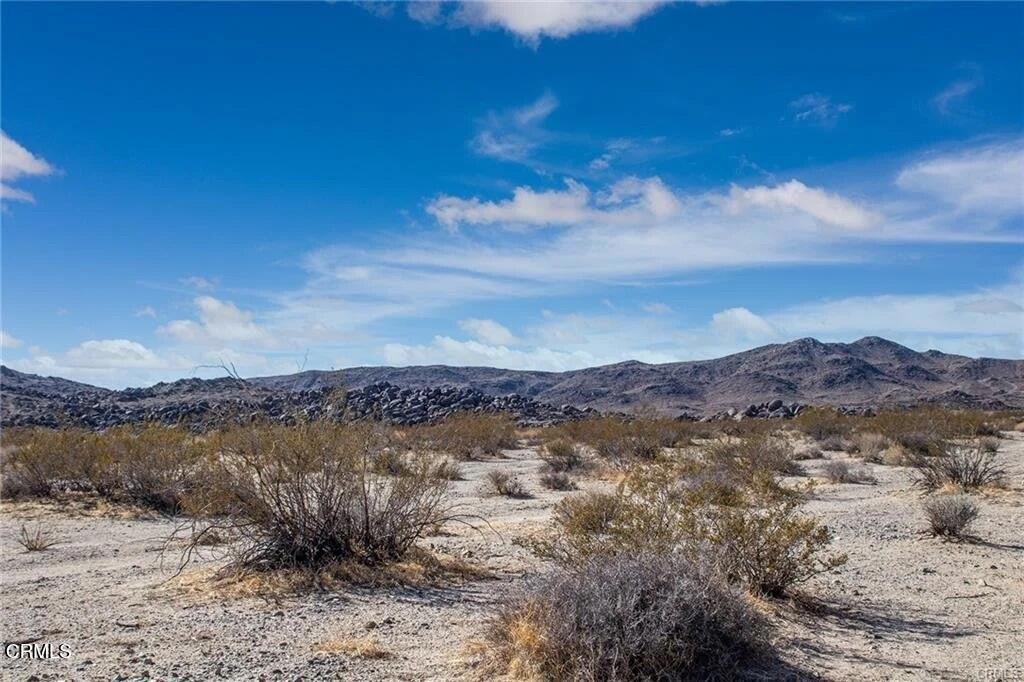 67090 Sunny Sands Drive Property Photo 12