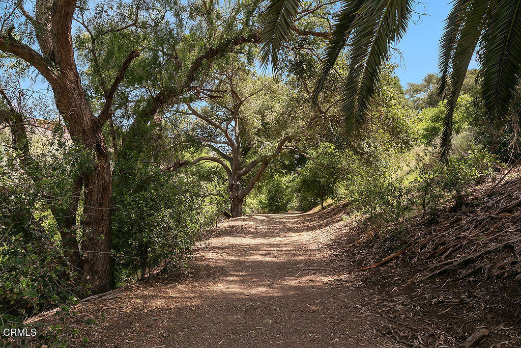 2735 Los Pinos Circle Property Photo 73
