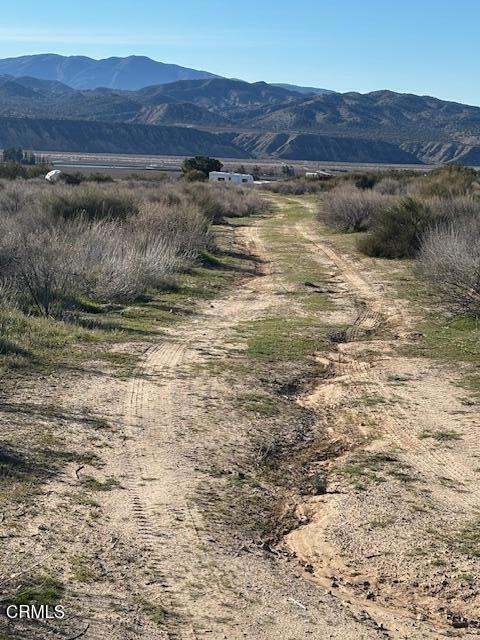 520 Quatal Canyon Road Property Photo 6