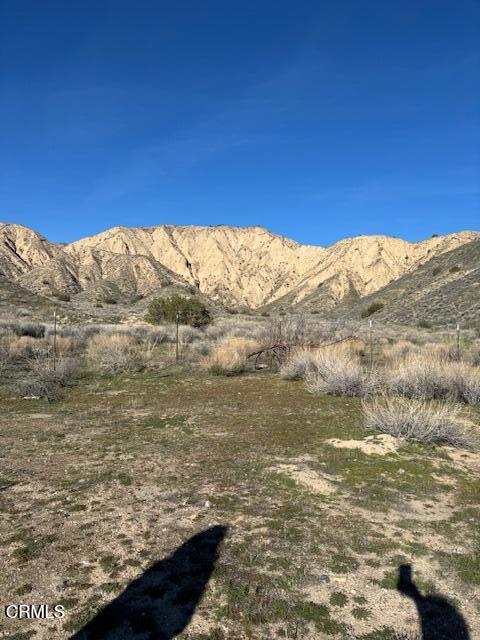 520 Quatal Canyon Road Property Photo 7
