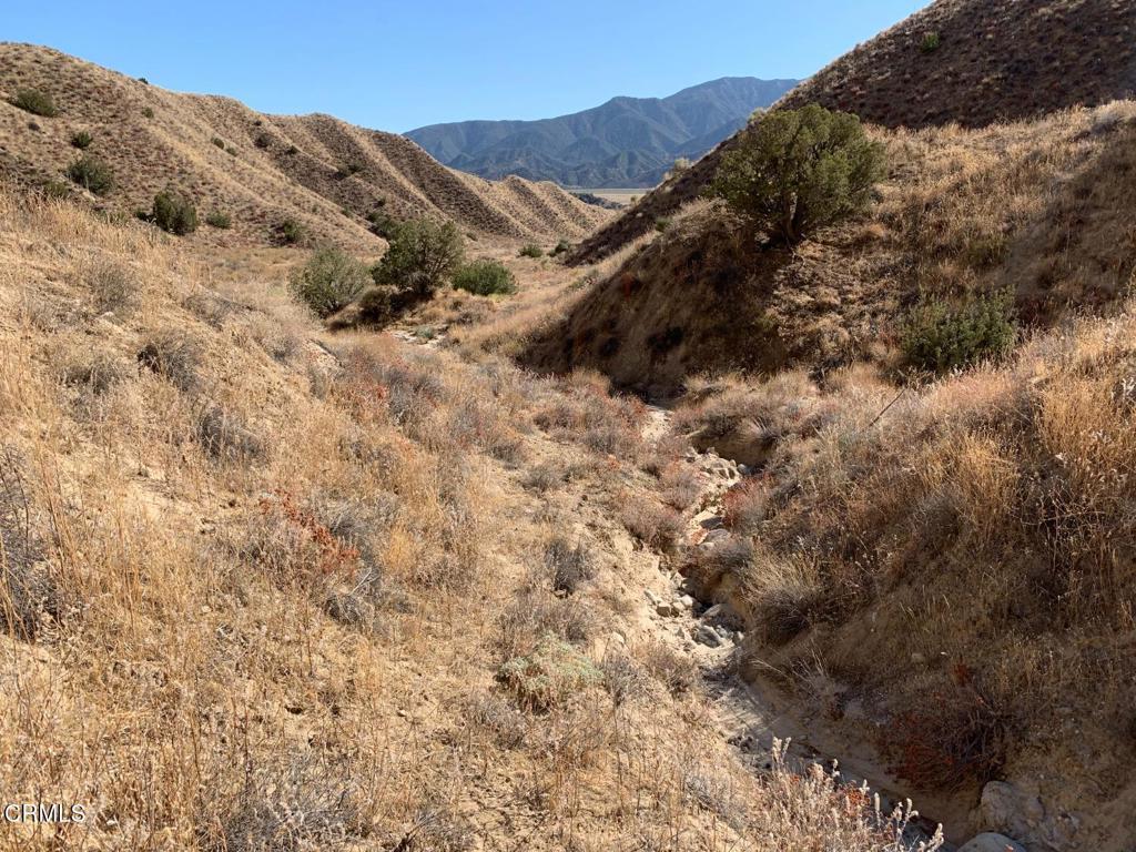 520 Quatal Canyon Road Property Photo 9