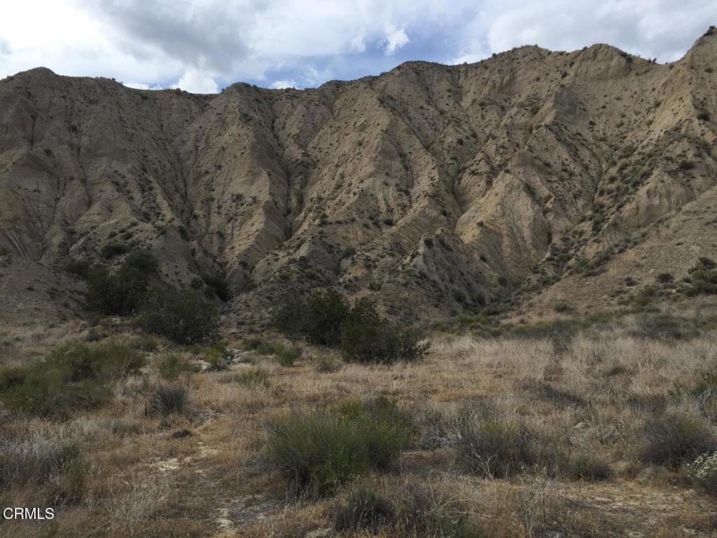 520 Quatal Canyon Road Property Photo 13