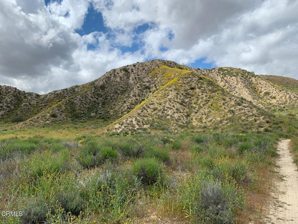 520 Quatal Canyon Road Property Photo 14
