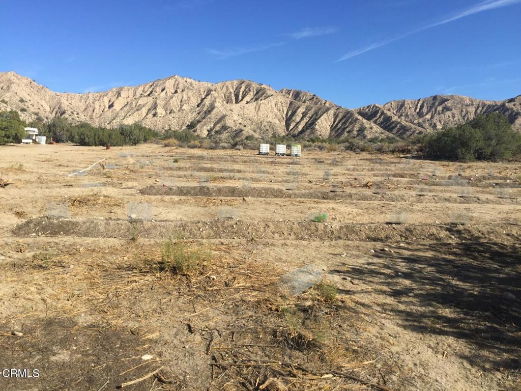 520 Quatal Canyon Road Property Photo 15