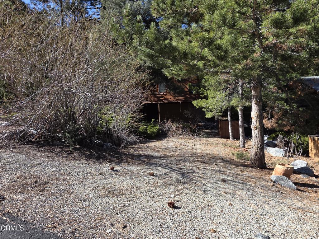 1517 Zion Way Property Photo 34