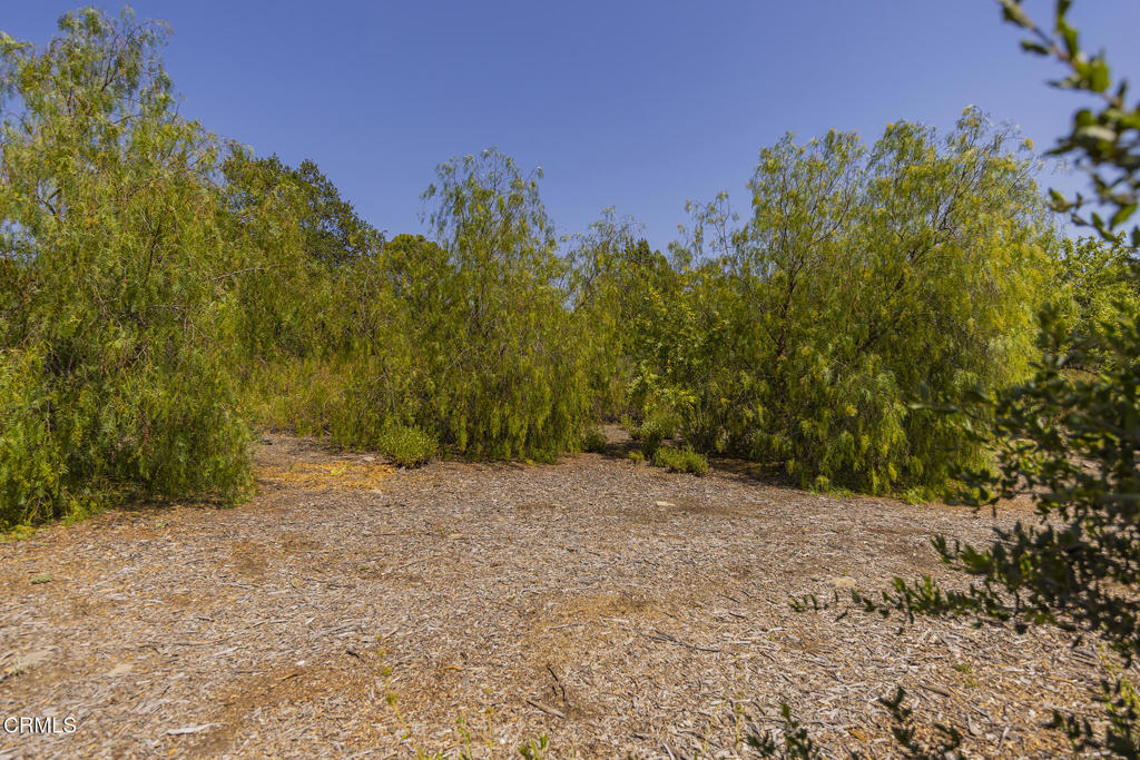 1 Hendrickson Road Property Photo 8