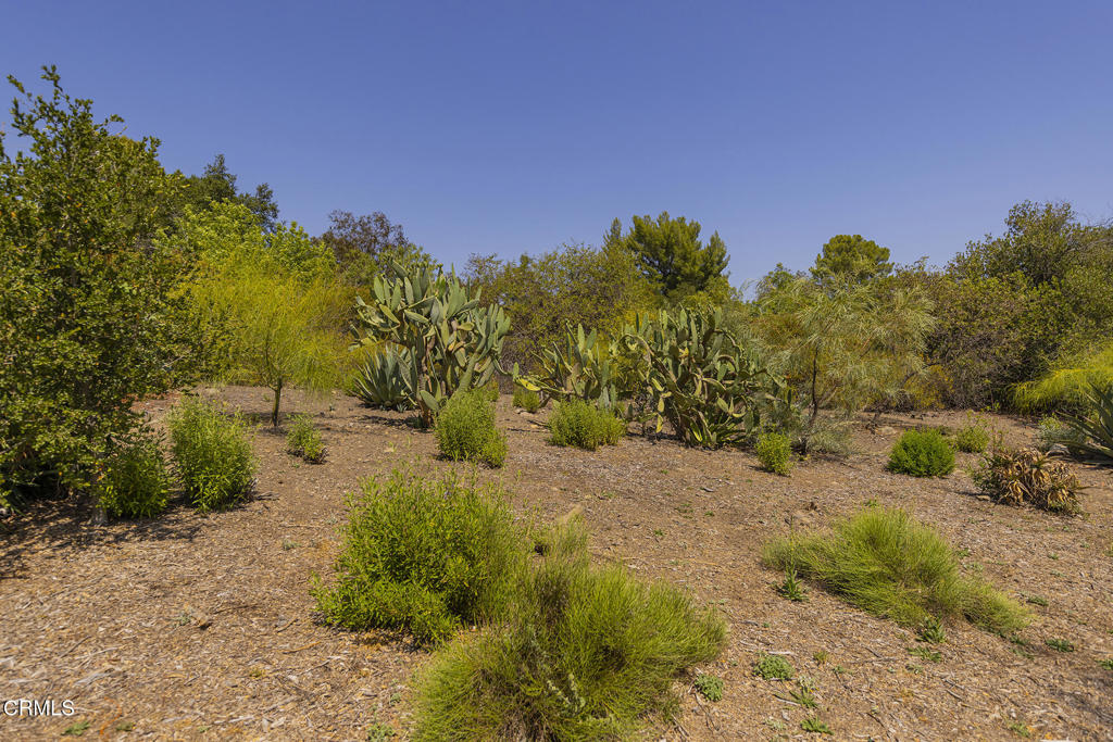 1 Hendrickson Road Property Photo 9