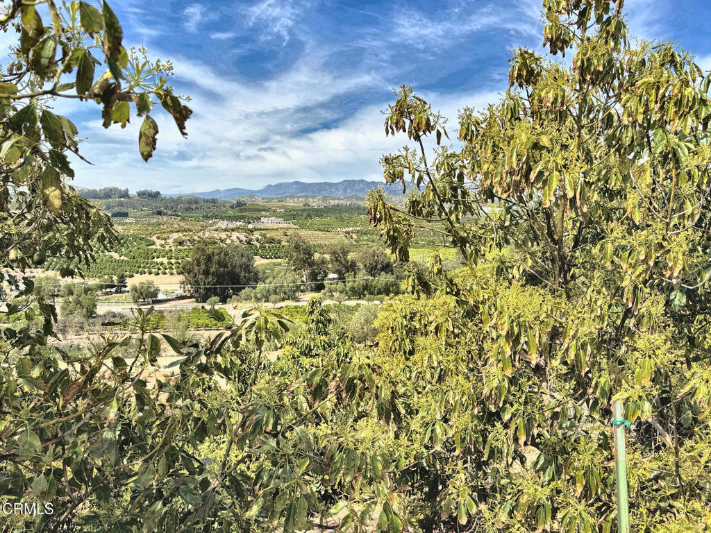 0 Grimes Canyon Road Property Photo 4