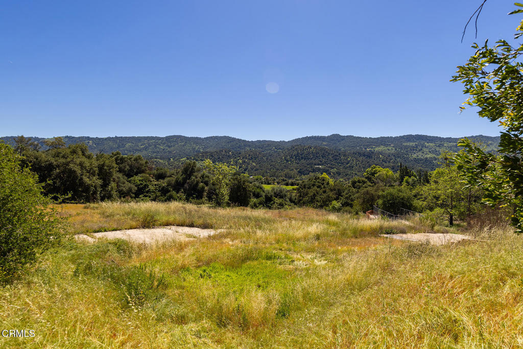 12661 Highwinds Road Property Photo 5