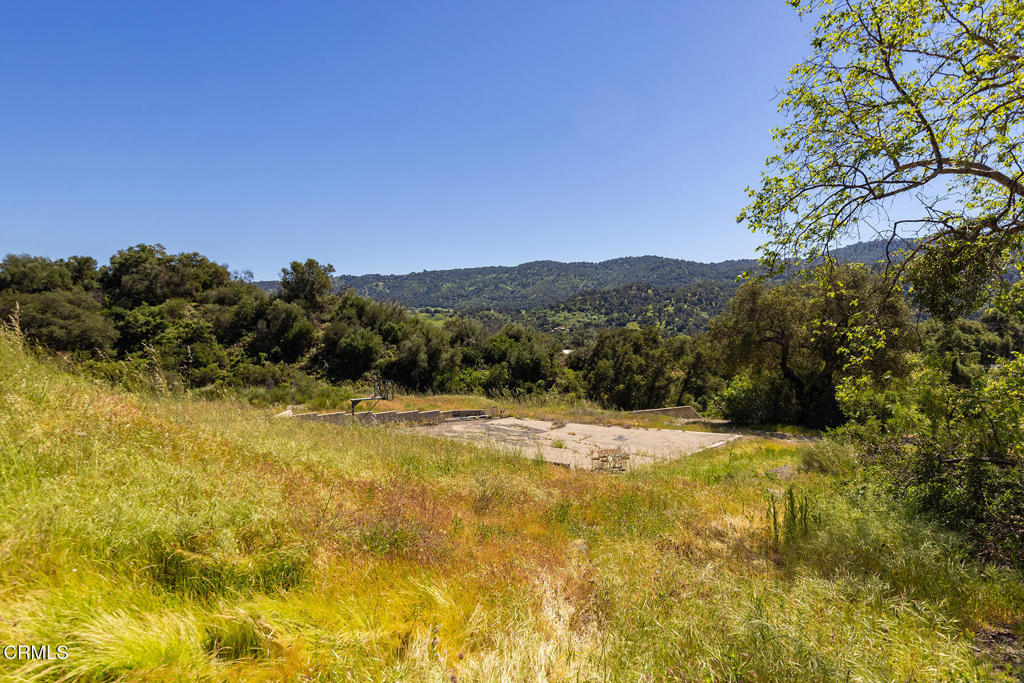 12661 Highwinds Road Property Photo 10