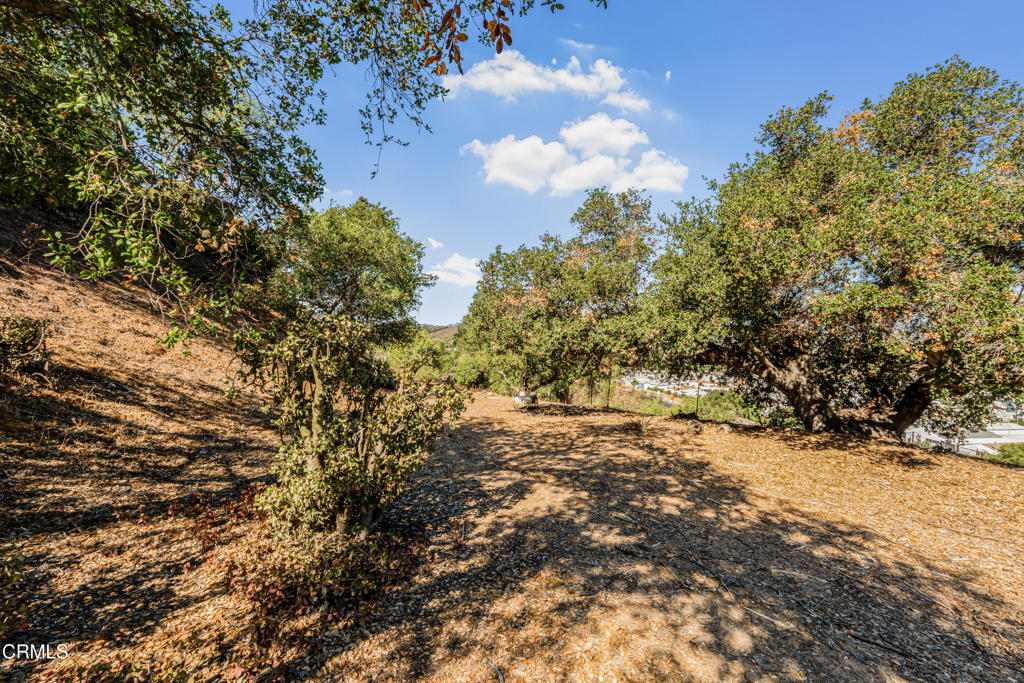 0 Midbury Hill Road Property Photo 4