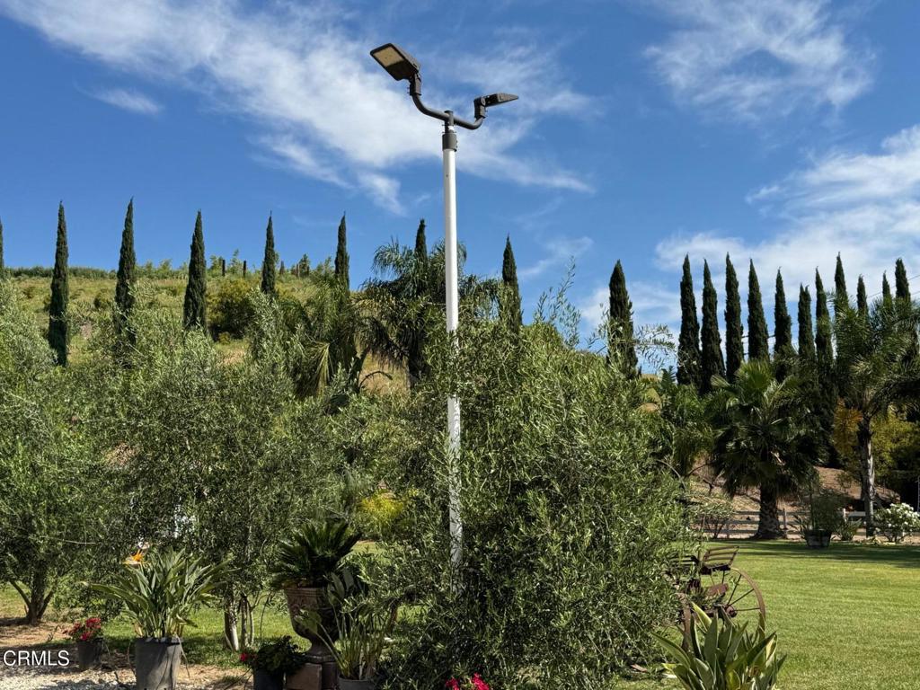 7907 Balcom Canyon Road Property Photo 13