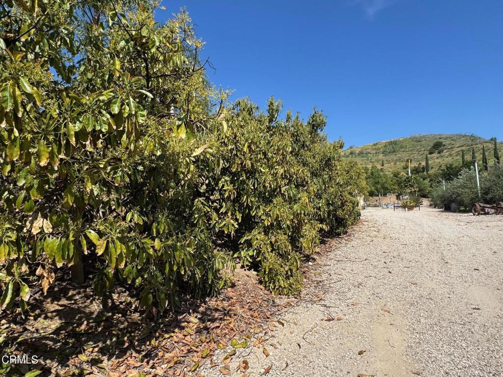 7907 Balcom Canyon Road Property Photo 15