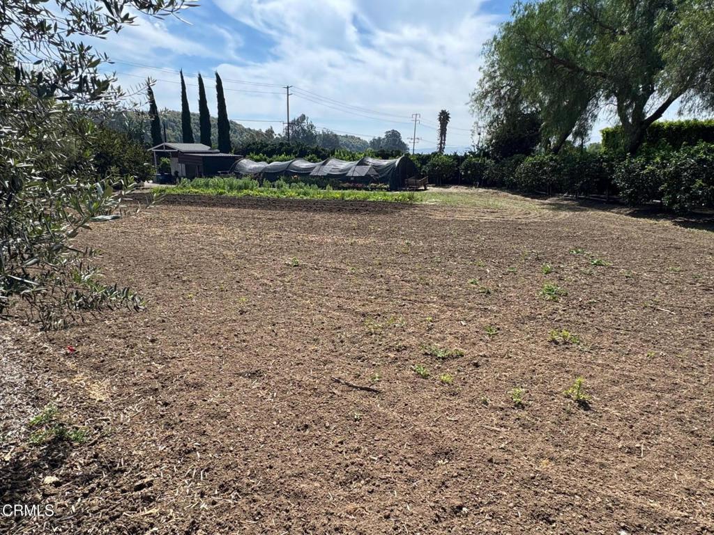 7907 Balcom Canyon Road Property Photo 21