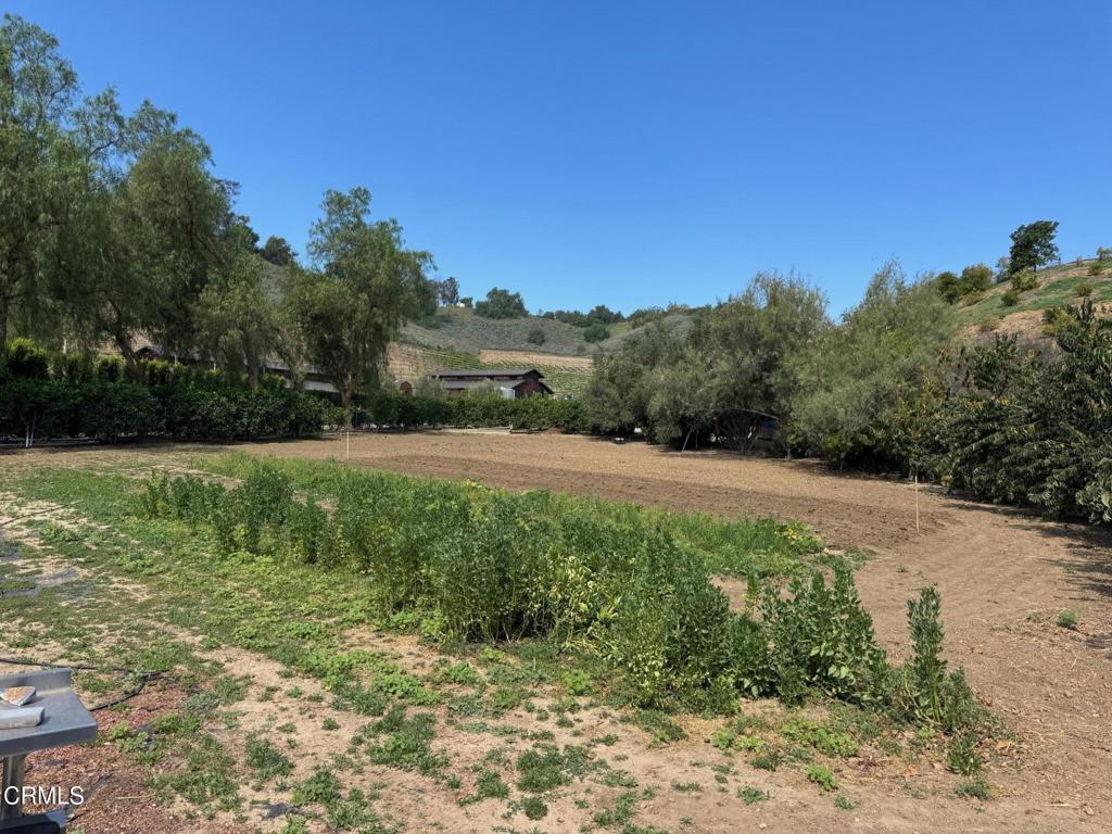7907 Balcom Canyon Road Property Photo 28