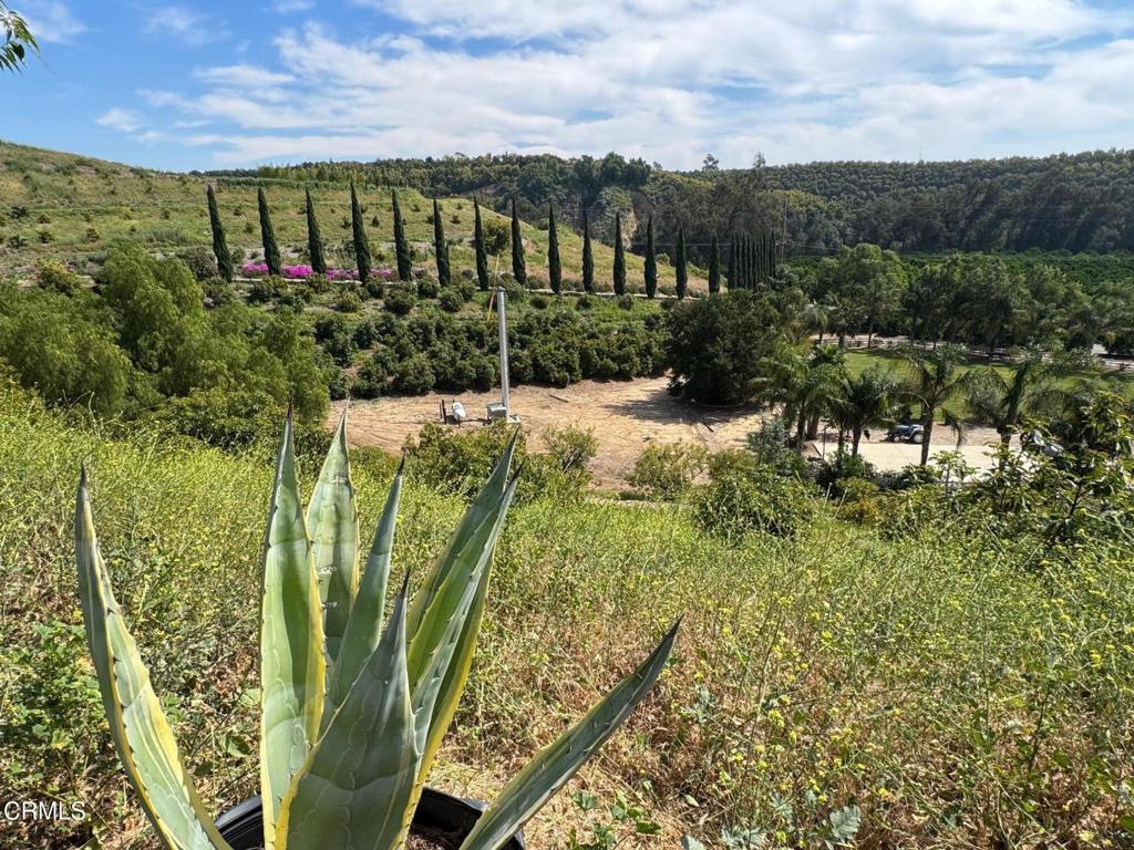 7907 Balcom Canyon Road Property Photo 32