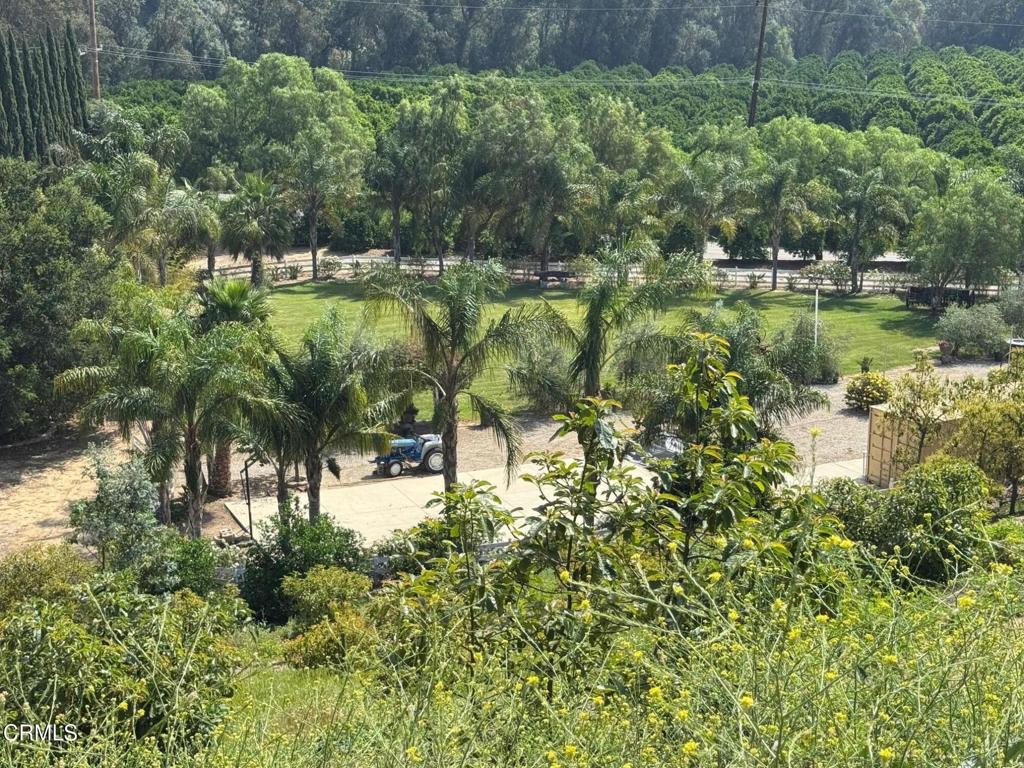 7907 Balcom Canyon Road Property Photo 33