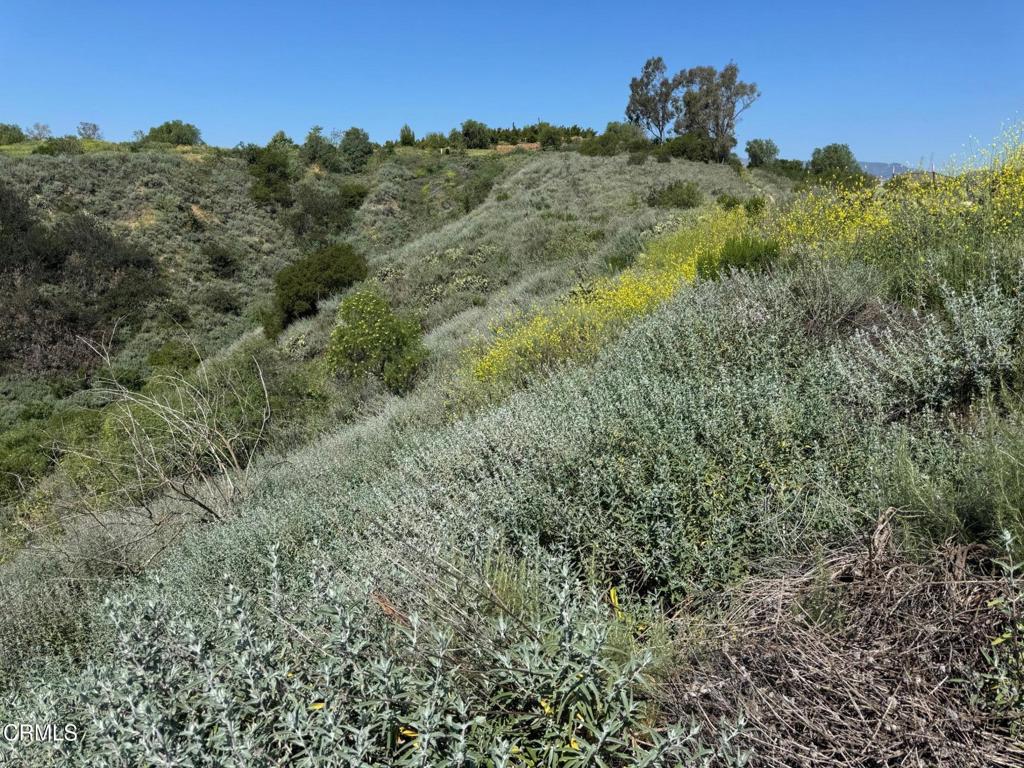 7907 Balcom Canyon Road Property Photo 36