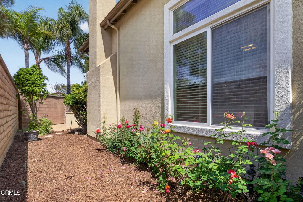 1705 Via Pajaro Property Photo 56