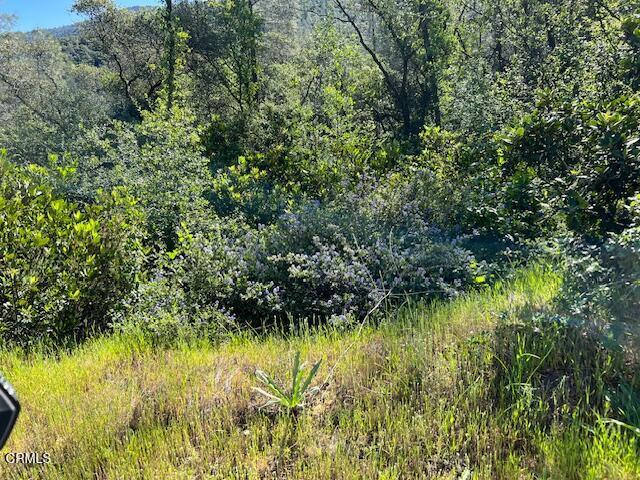 0 Rocky Top Road Property Photo 1