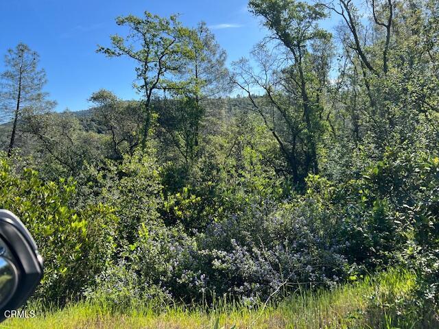0 Rocky Top Road Property Photo 3