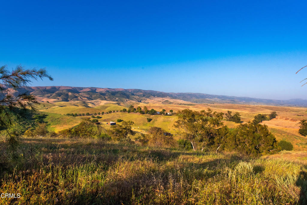 15295 Middle Ranch Rd Property Photo 10