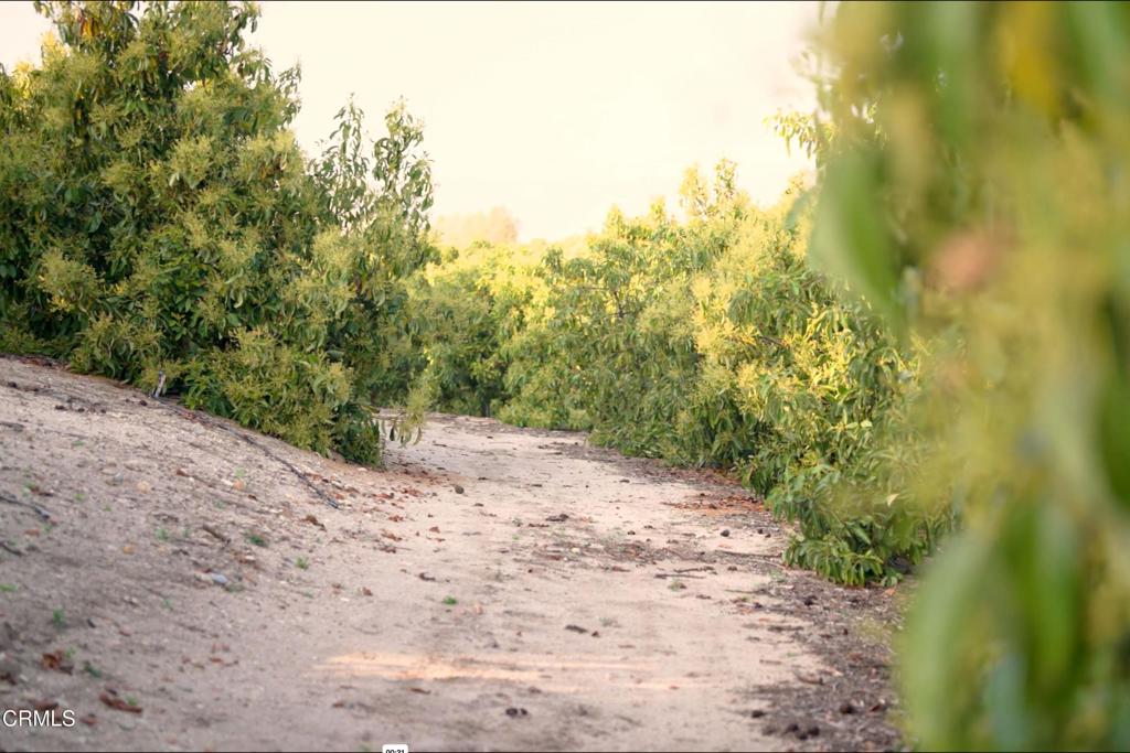 15295 Middle Ranch Rd Property Photo 14