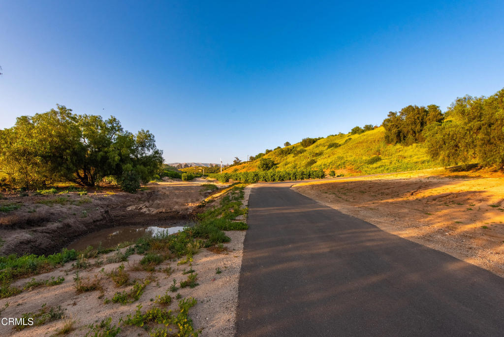 15295 Middle Ranch Rd Property Photo 16