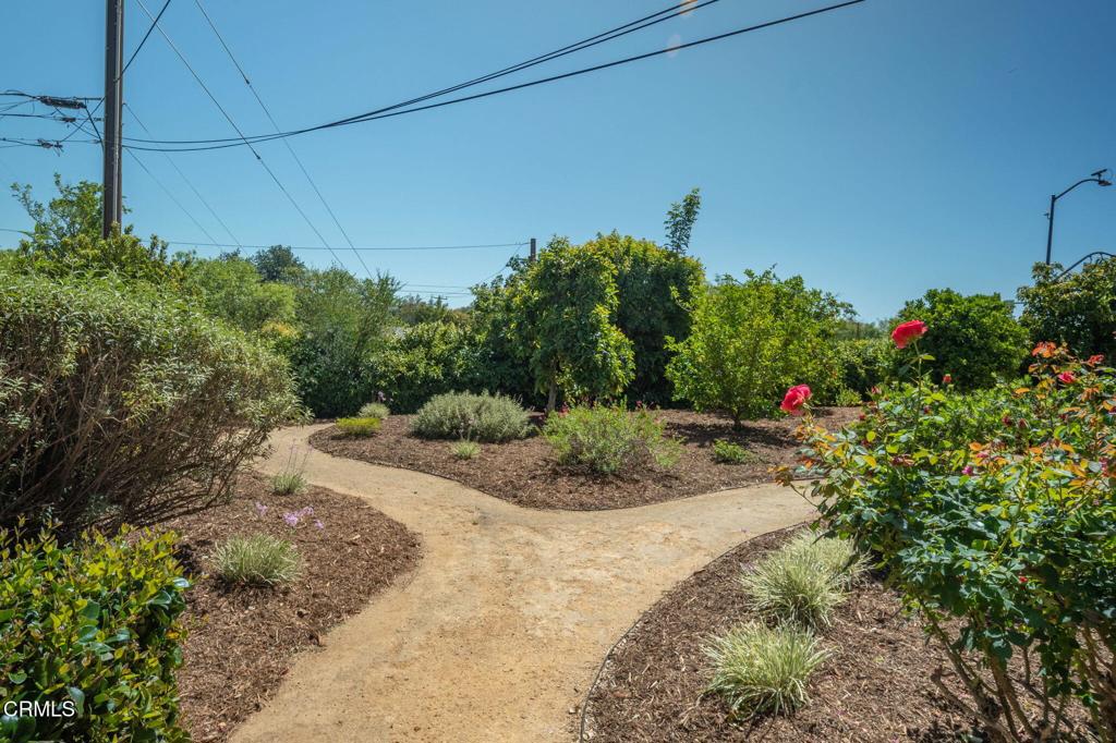 1808 Burleson Avenue Property Photo 33