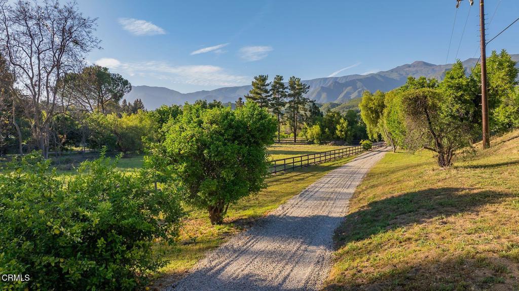 11849 Sulphur Mountain Road Property Photo 3
