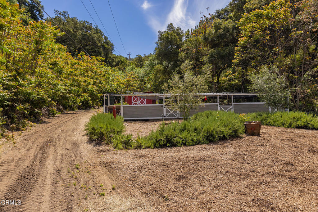11849 Sulphur Mountain Road Property Photo 40