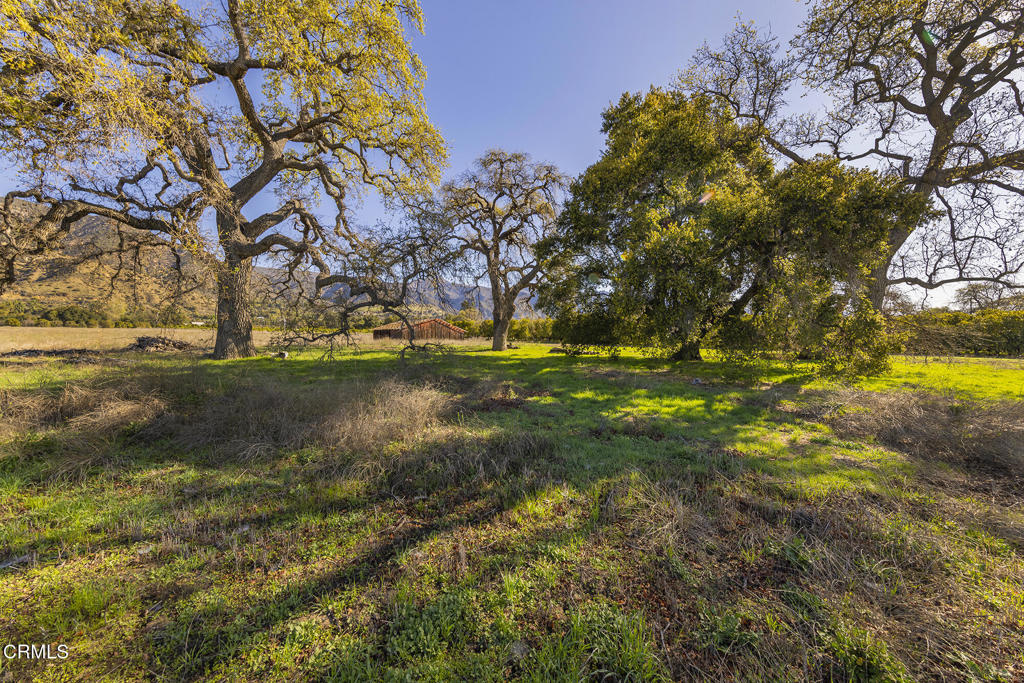 1201 Grand Avenue Property Photo 8
