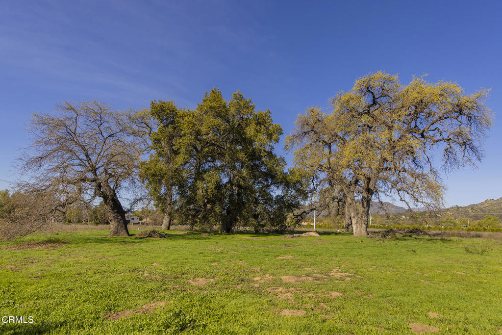 1201 Grand Avenue Property Photo 15