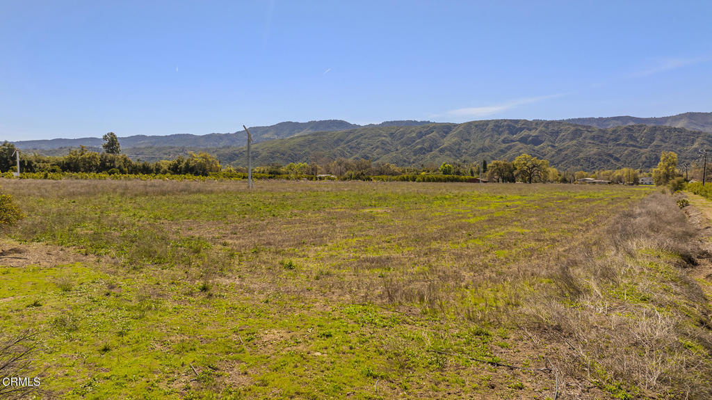 1201 Grand Avenue Property Photo 29