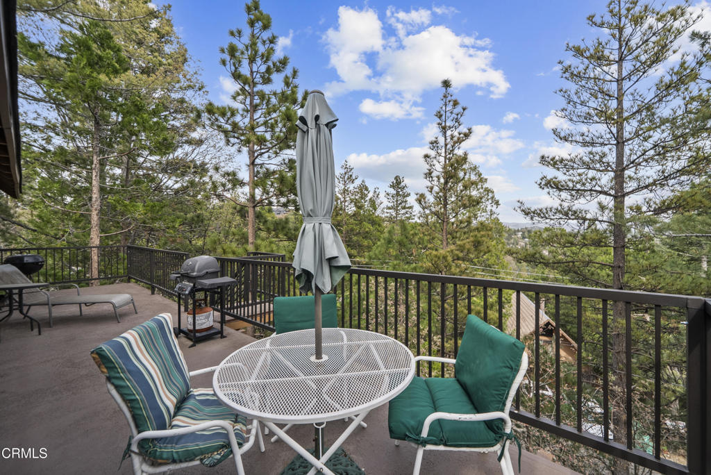864 Nadelhorn Drive Property Photo 43