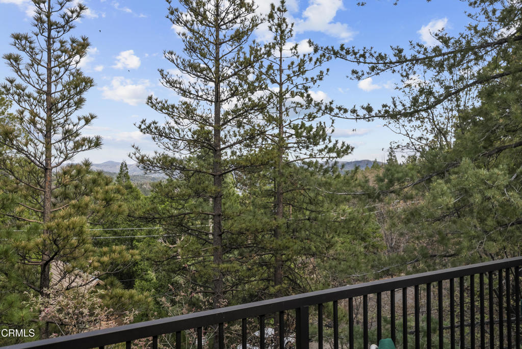 864 Nadelhorn Drive Property Photo 44