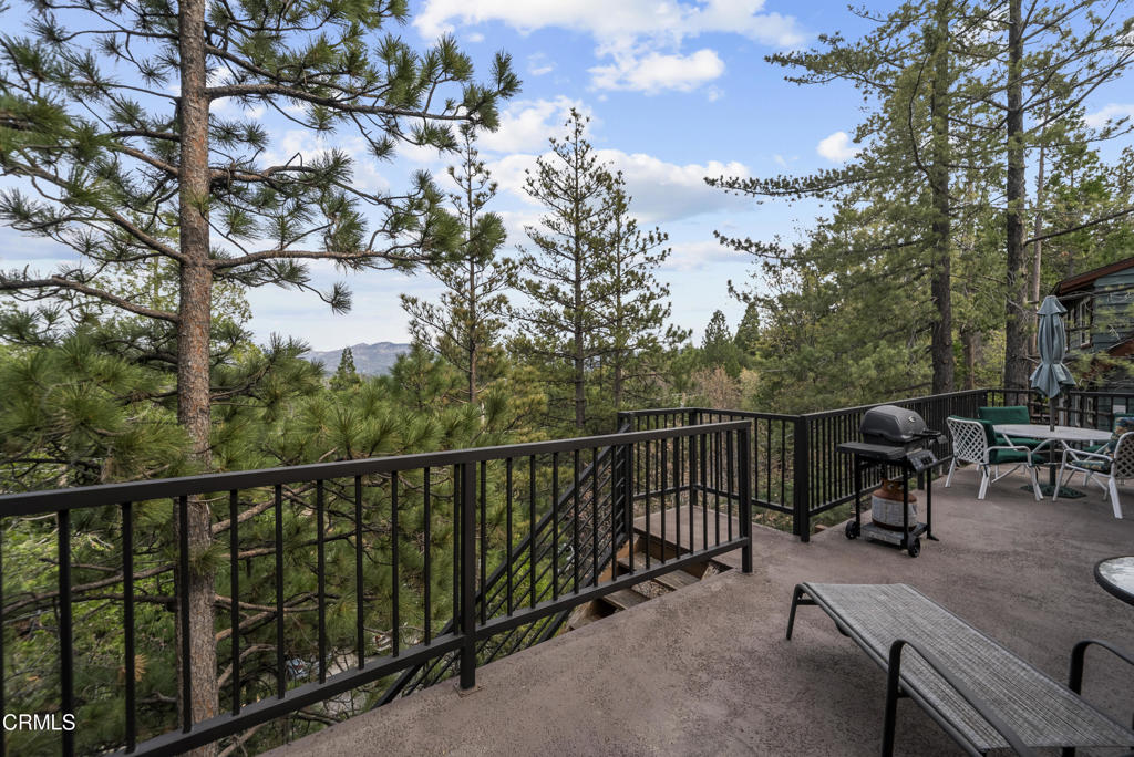 864 Nadelhorn Drive Property Photo 46