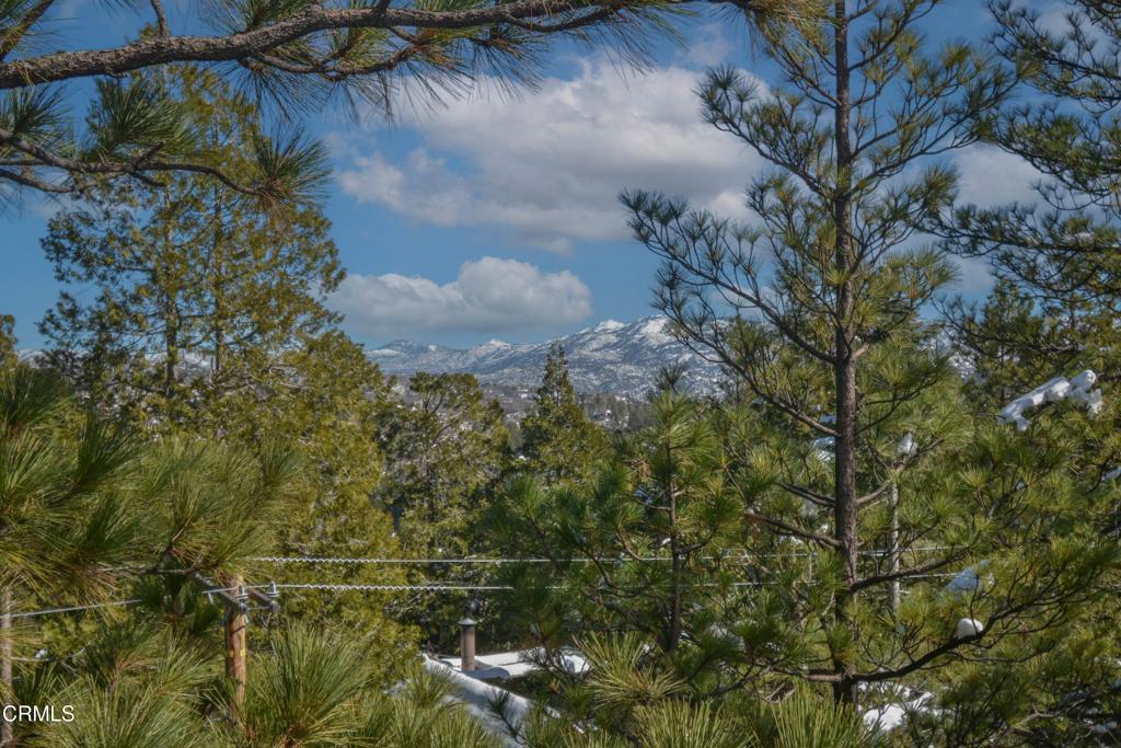 864 Nadelhorn Drive Property Photo 47