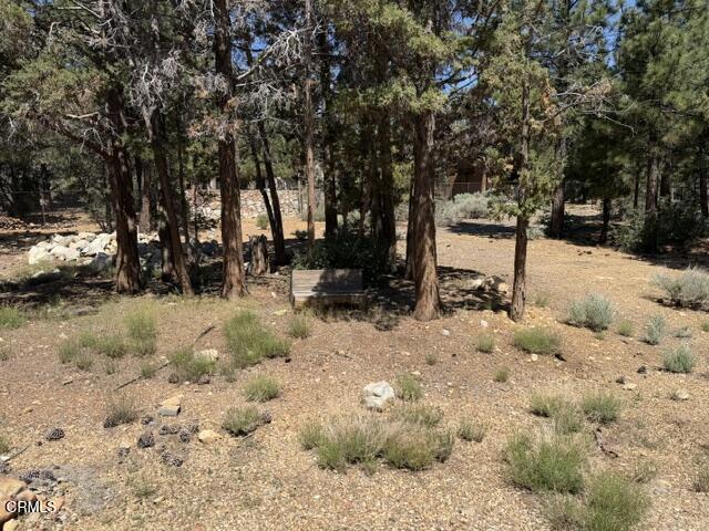 1099 Heritage Trail Property Photo 25