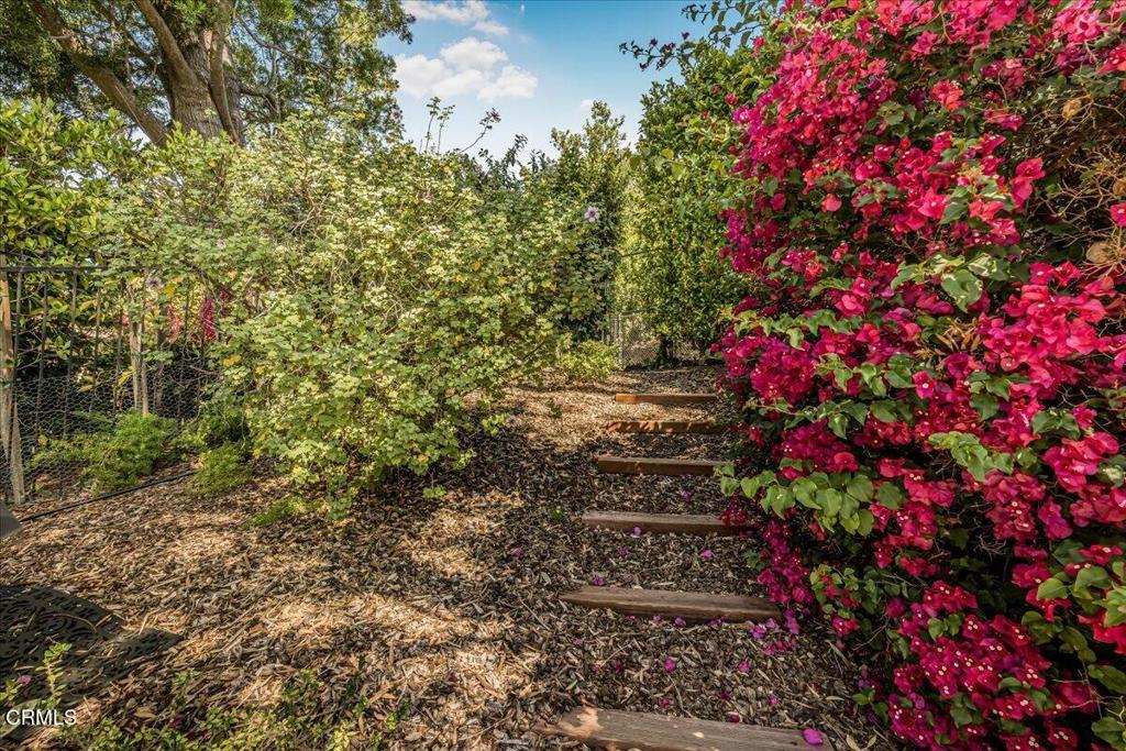 317 El Tuaca Court Property Photo 56