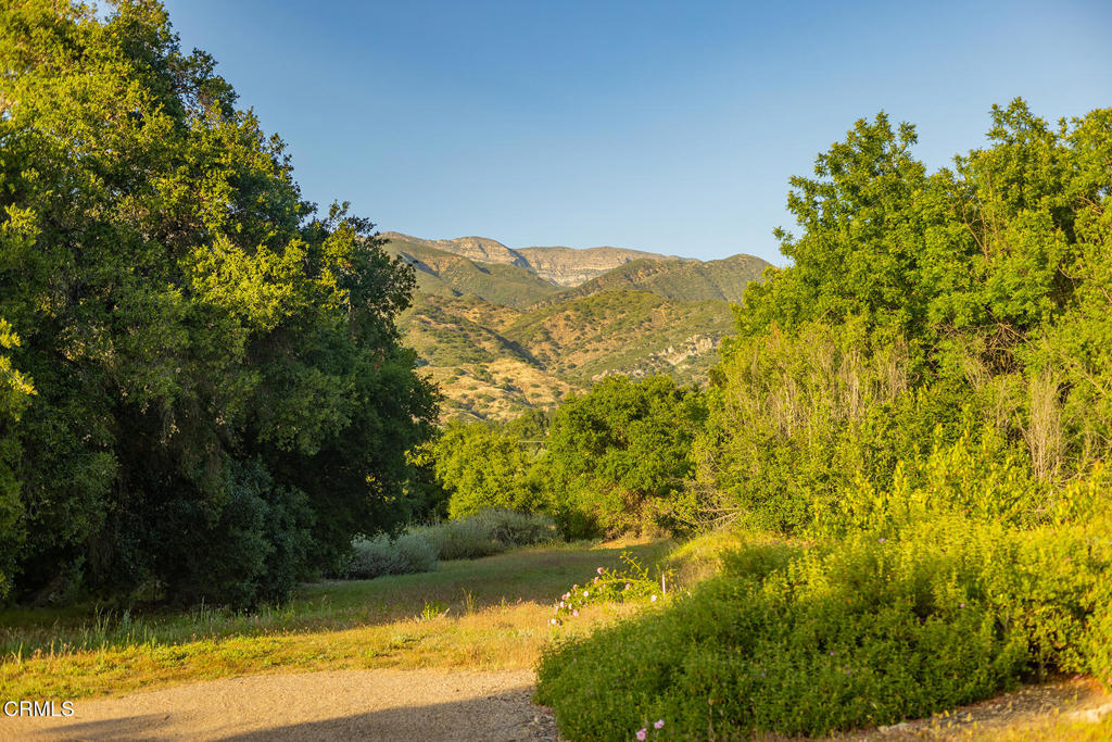 5180 Reeves Road Property Photo 45