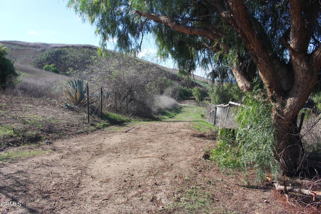 1672 E Los Angeles Avenue Property Photo 18