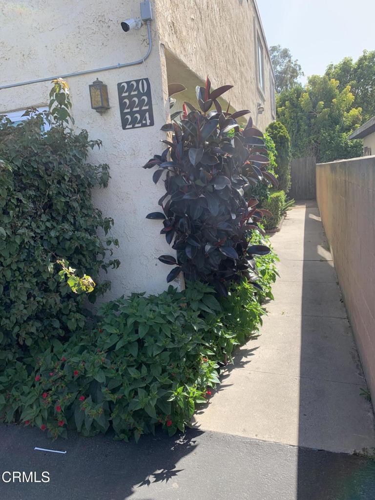 220 S Palm Avenue Property Photo 10