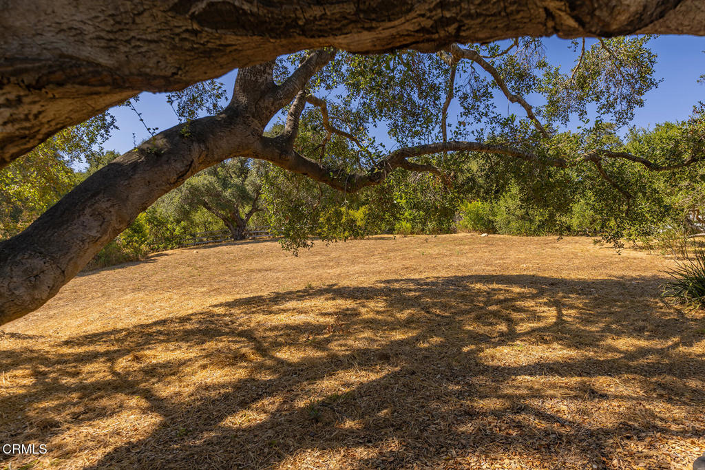 10622 Encino Drive Property Photo 36