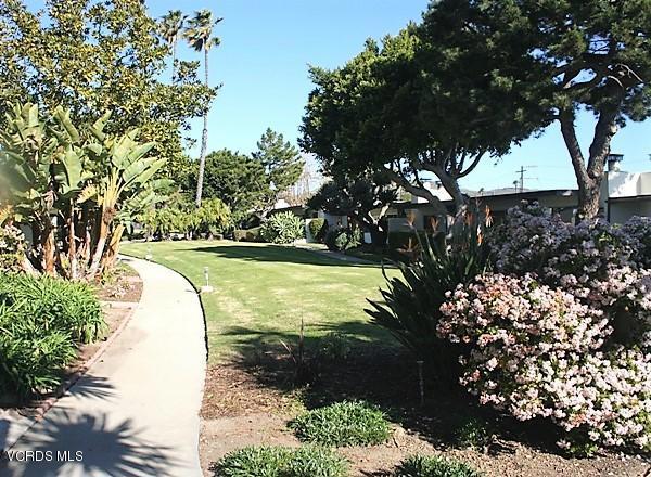 61 C Redwood Avenue Property Photo 55