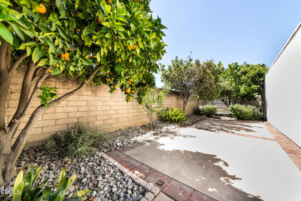 2210 Placita San Dimas Property Photo 43