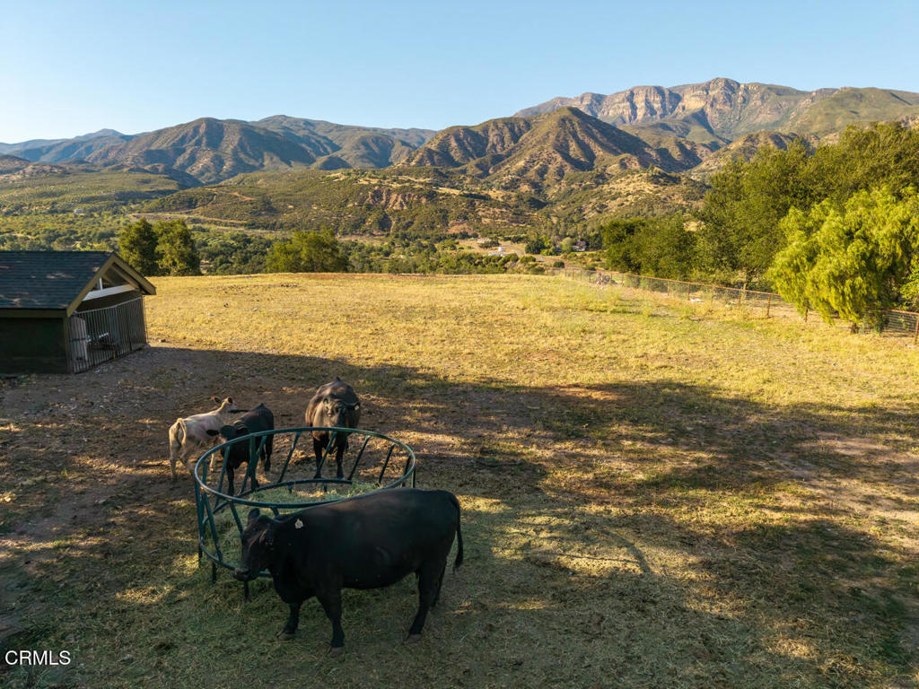 13100 Ojai Road Property Photo 4
